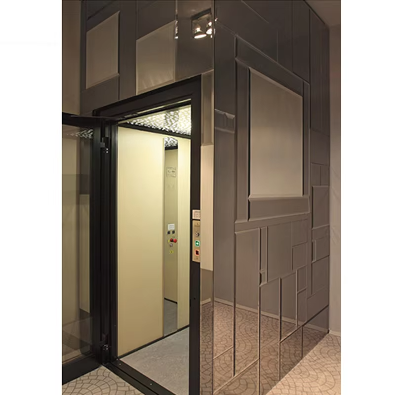 VTEV103 Ascensores Elevadores Smart Control Villa Lift برای حمل و نقل راحت در خانه