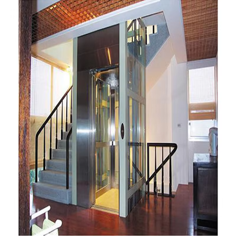 VTEV103 Ascensores Elevadores Smart Control Villa Lift برای حمل و نقل راحت در خانه