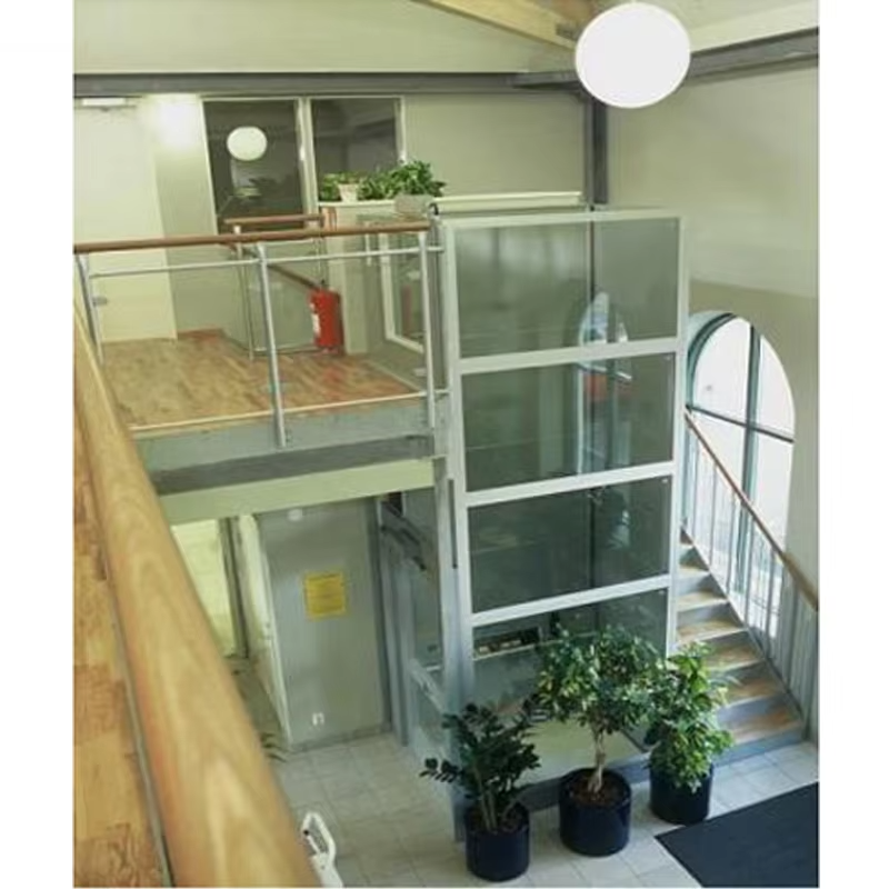 VTEV103 Ascensores Elevadores Smart Control Villa Lift برای حمل و نقل راحت در خانه