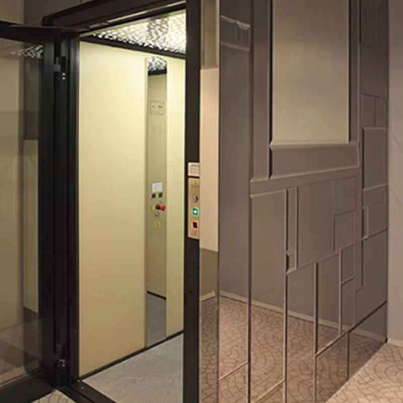 آسانسور ویلا کابین سفارشی VTEV105 Ascensores Elevadores برای دکوراسیون داخلی