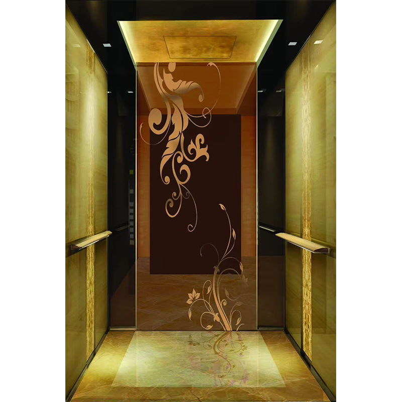 کابین آسانسور هتل لوکس VTSP133 با طراحی معاصر استیل ضد زنگ ممتاز رنگ سفارشی 1 سال گارانتی