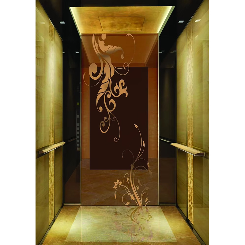 قطعات و لوازم جانبی آسانسور VTSP135 کابین آسانسور تجاری با پانل های دیواری ضد خش